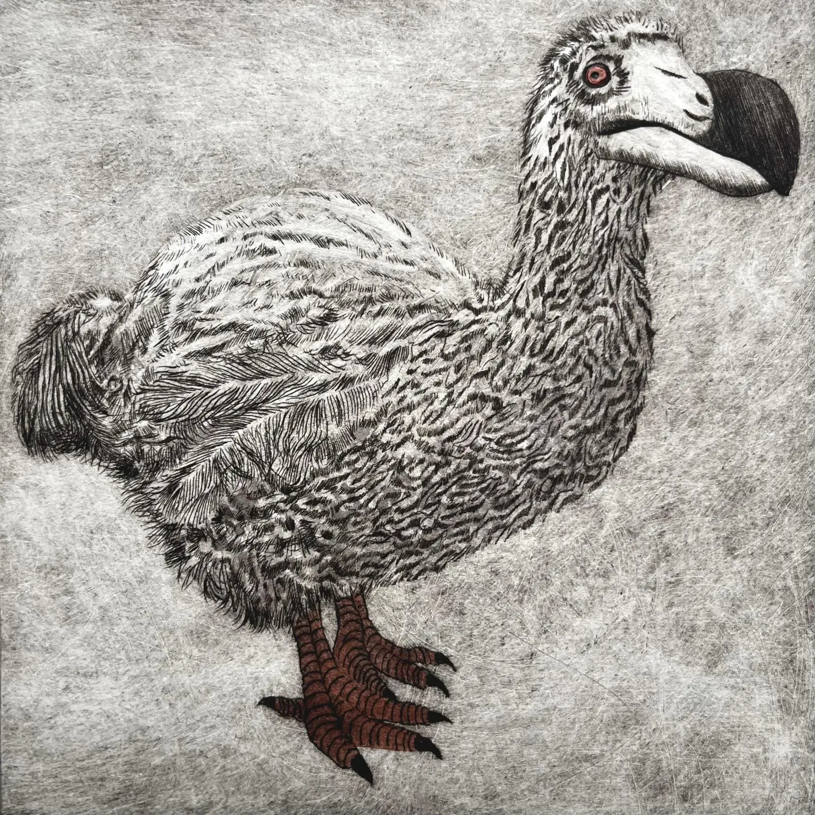 Ironbridge Fine Arts 2023 - ‘The Faux Dodo’ by Faith Chevannes Competition Winner -
